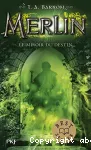 Merlin Livre IV - Le miroir du destin