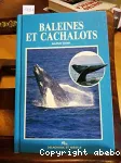 Baleines et cachalots