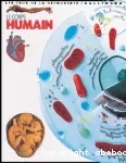 Le corps humain